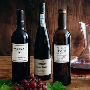 Vin rouge Irouleguy AOC Domaine Mignaberry 2017